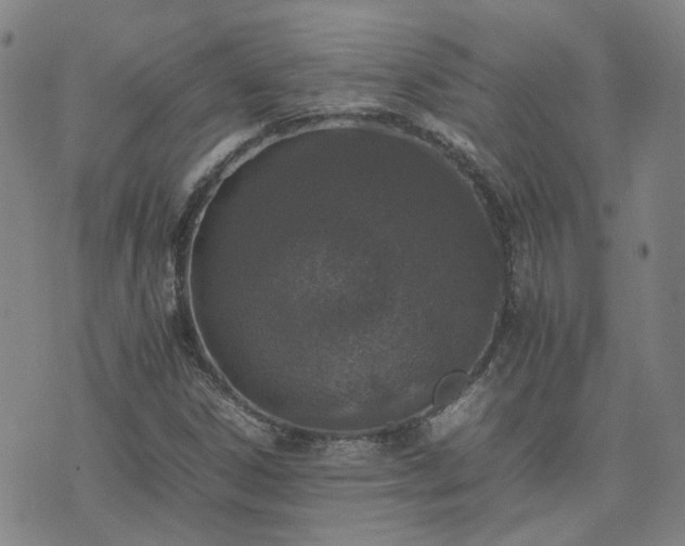 X0000074231306200609011232