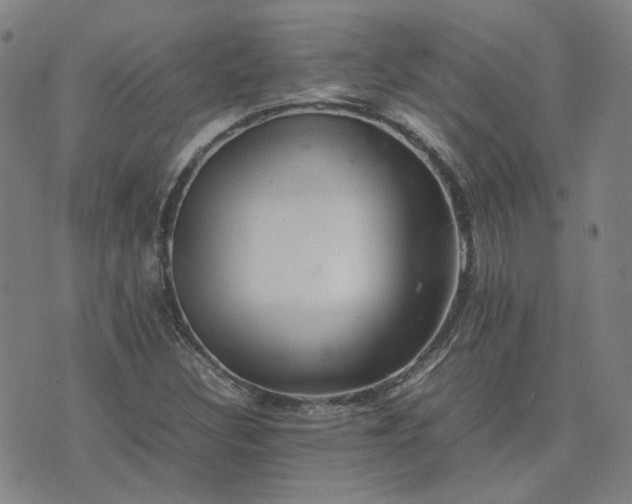 X0000074231308200609011232