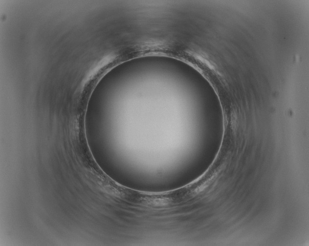 X0000074231309200609011232