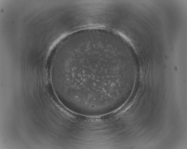 X0000074231310200609011232