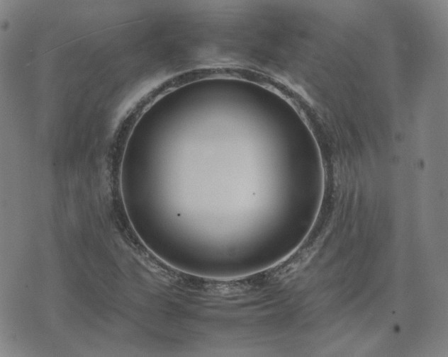 X0000074231311200609011232