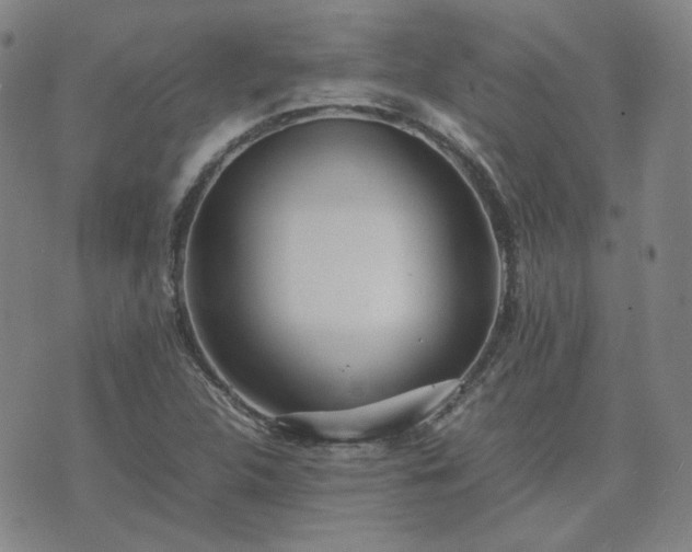 X0000074231312200609011232