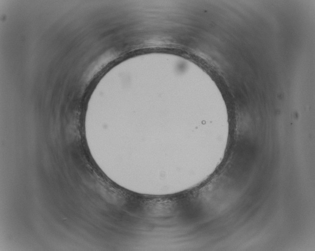 X0000074231314200609011232