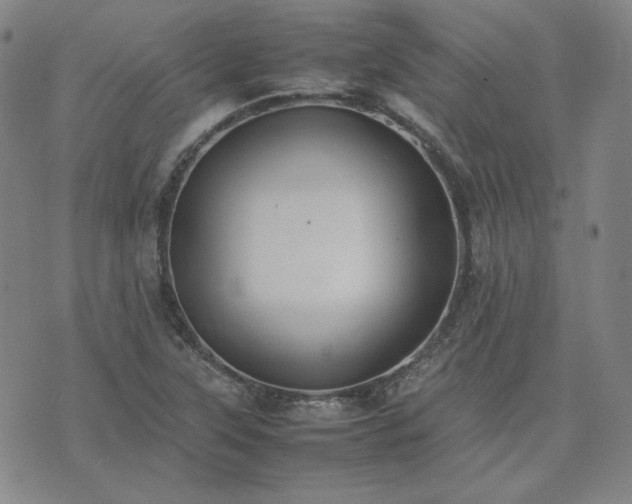 X0000074231315200609011232