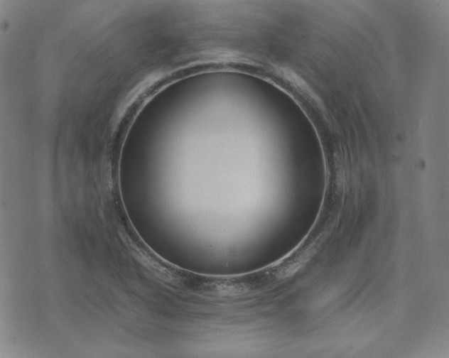 X0000074231318200609011232