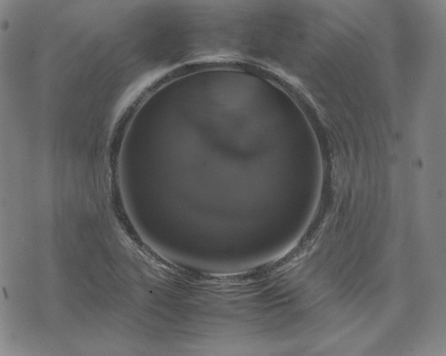 X0000074231319200609011232