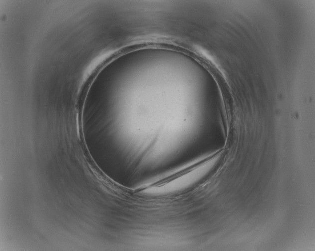 X0000074231320200609011232