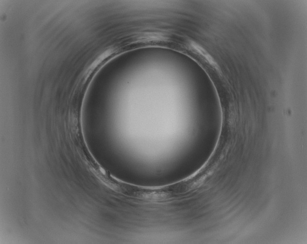 X0000074231321200609011232