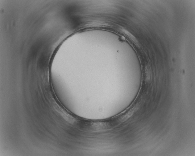 X0000074231322200609011232