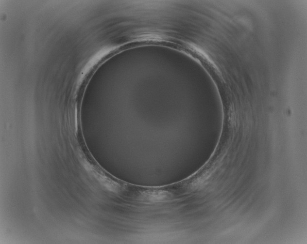 X0000074231323200609011232