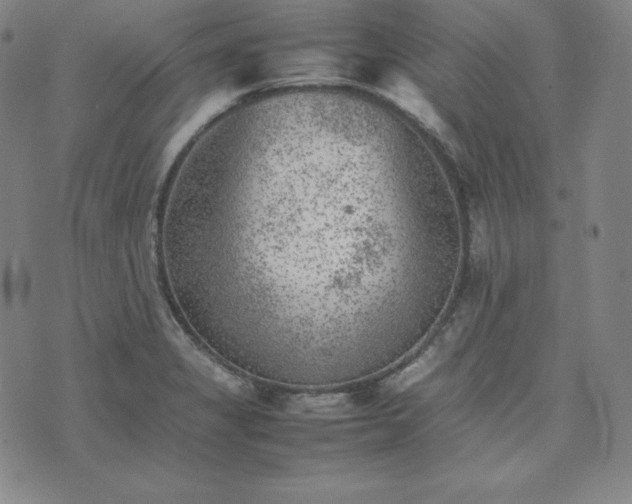 X0000074231325200609011232