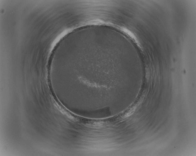 X0000074231326200609011232