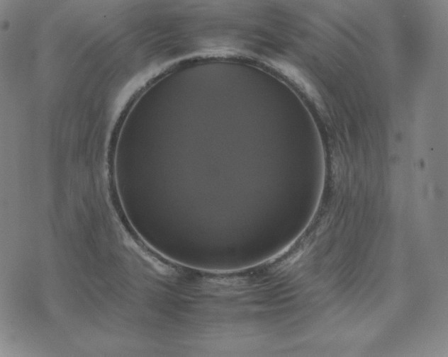 X0000074231327200609011232