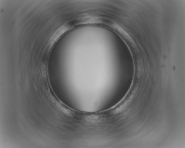 X0000074231329200609011232