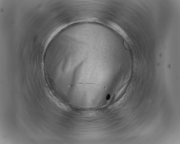 X0000074231332200609011232