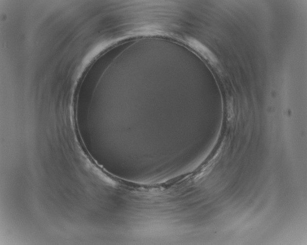 X0000074231334200609011232