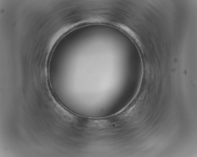 X0000074231335200609011232