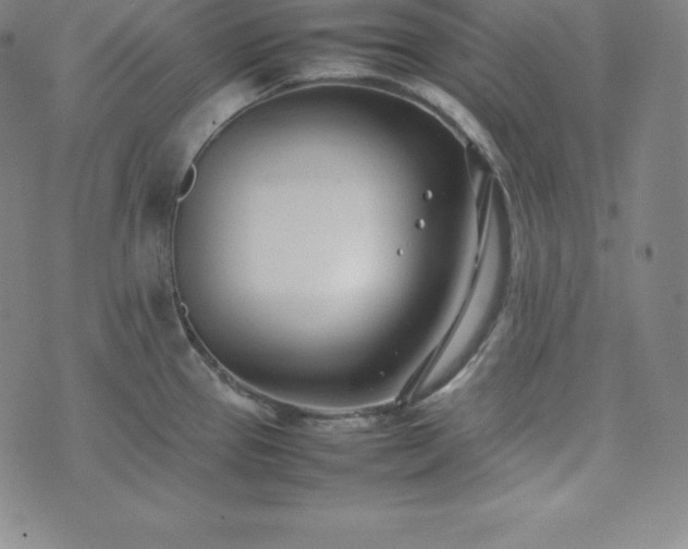 X0000074231337200609011232