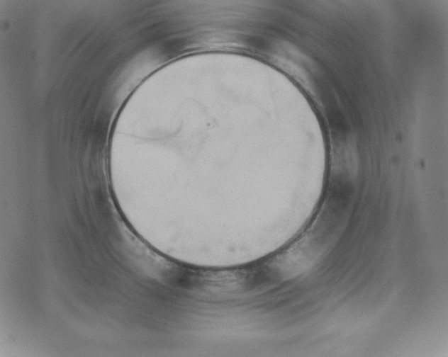 X0000074231338200609011232