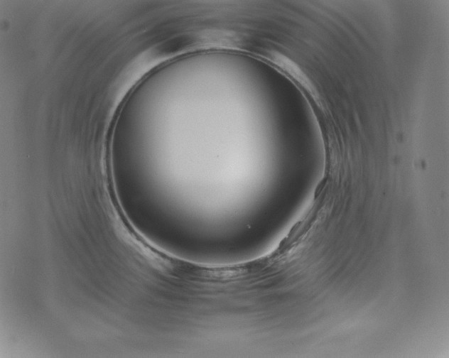 X0000074231339200609011232