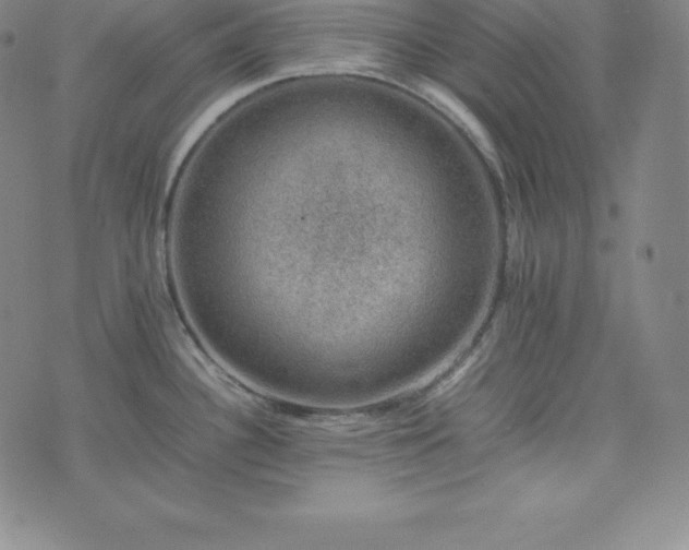 X0000074231340200609011232