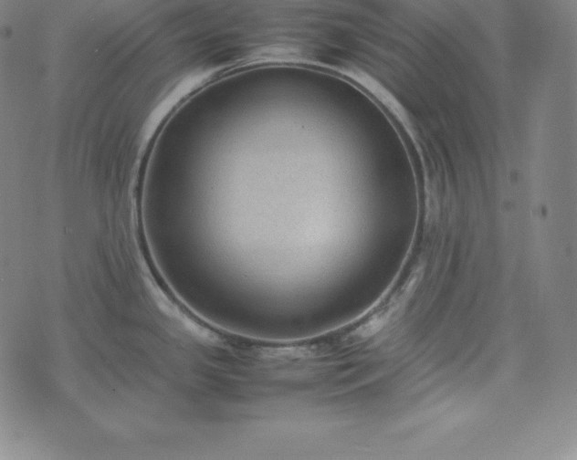 X0000074231341200609011232