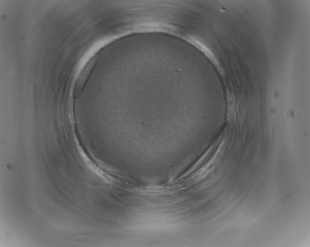 X0000074231342200609011232