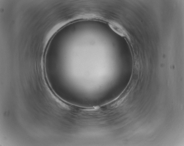 X0000074231343200609011232