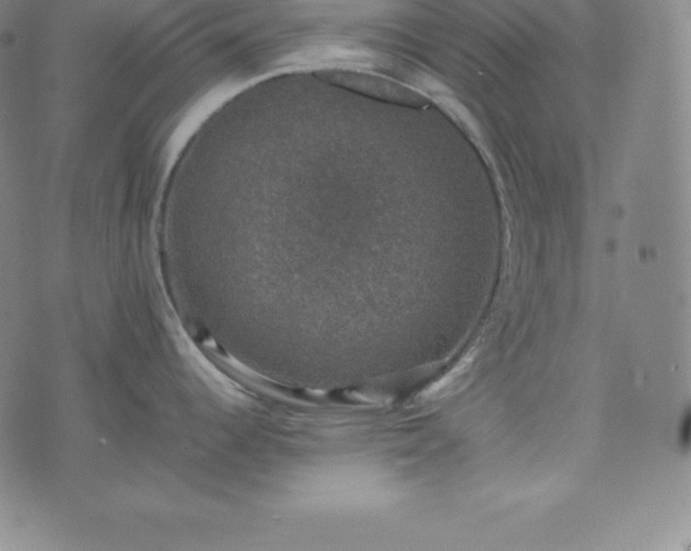 X0000074231344200609011232