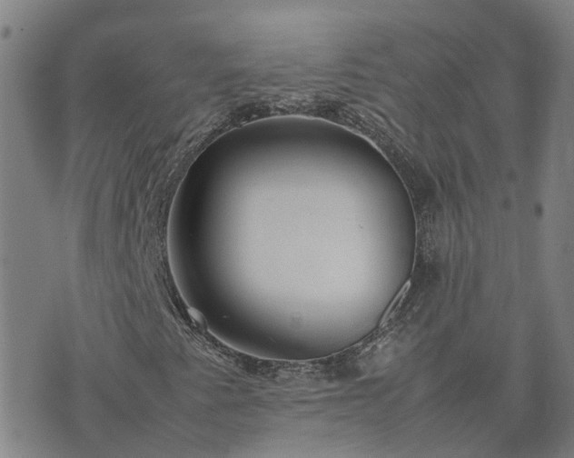 X0000074231345200609011231