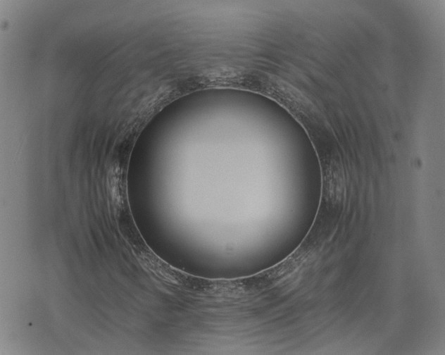 X0000074231346200609011231