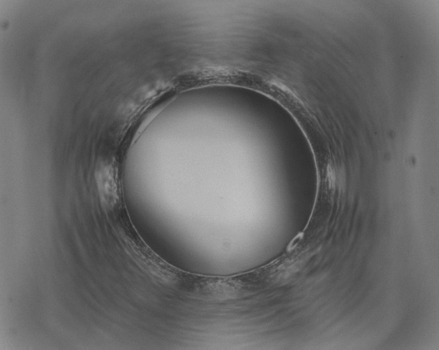 X0000074231348200609011231