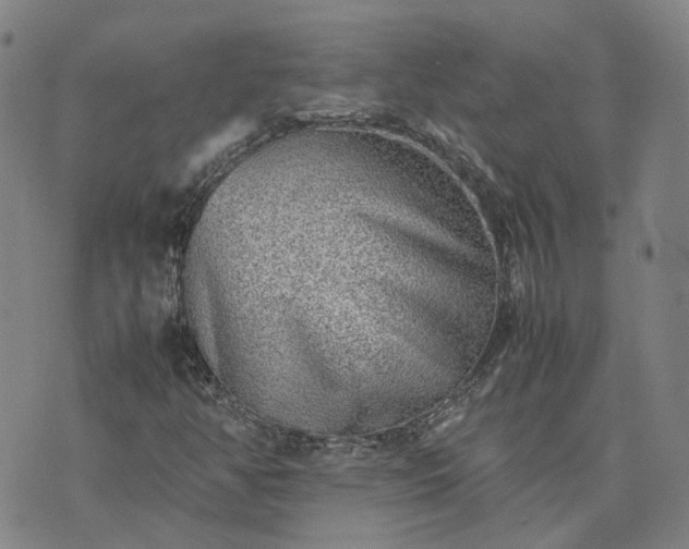 X0000074231350200609011231