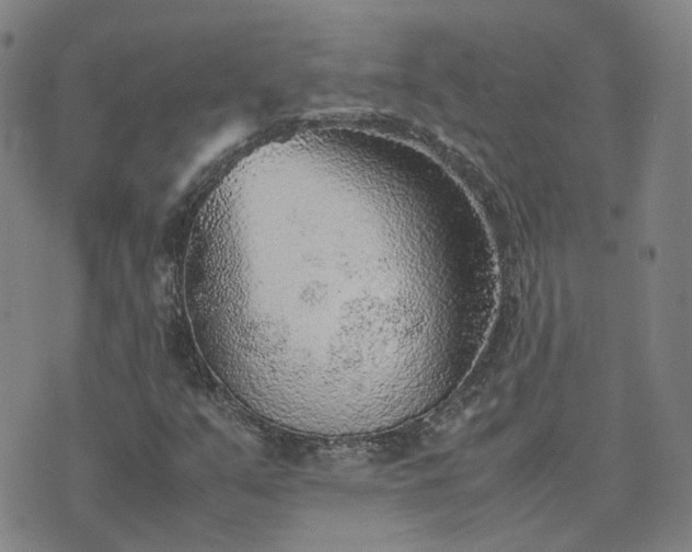 X0000074231351200609011231