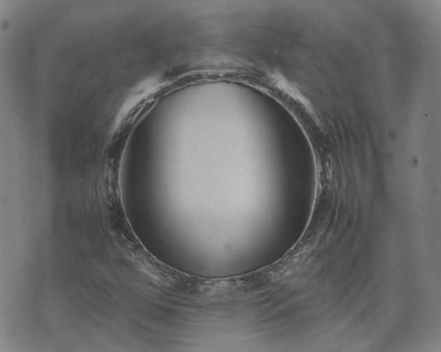 X0000074231352200609011231