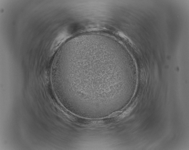 X0000074231353200609011231