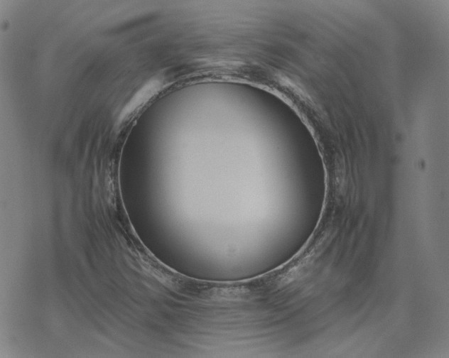 X0000074231354200609011231