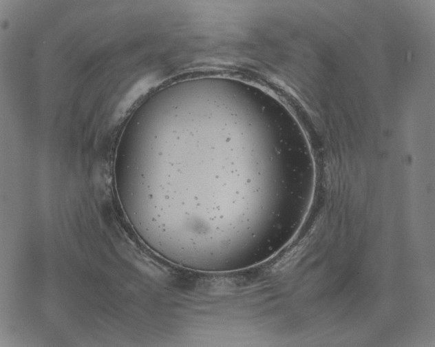 X0000074231355200609011231