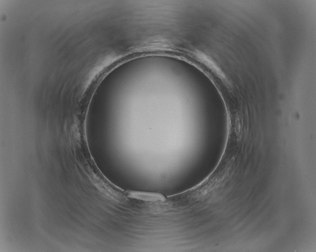 X0000074231356200609011231