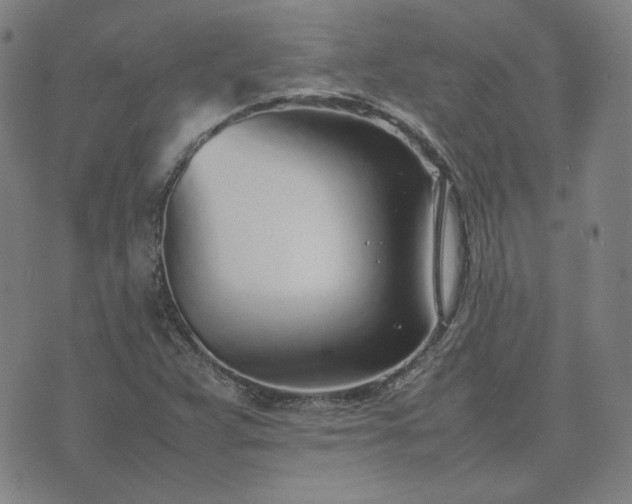 X0000074231359200609011231