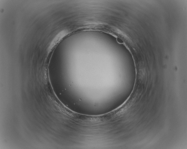 X0000074231362200609011231