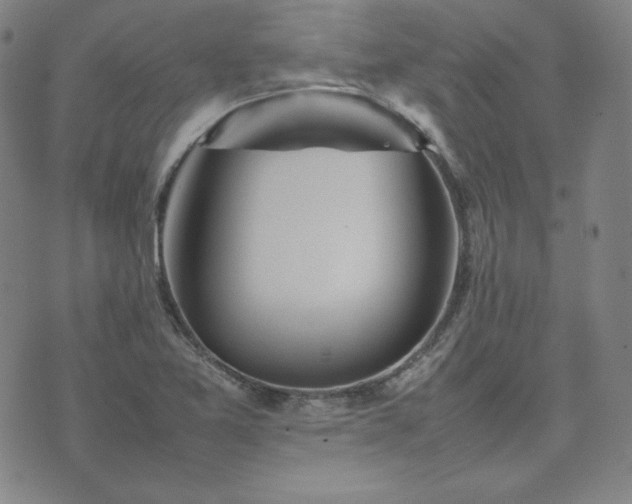 X0000074231365200609011231