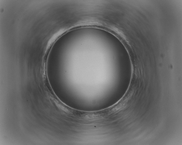 X0000074231366200609011231