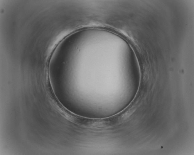 X0000074231367200609011231