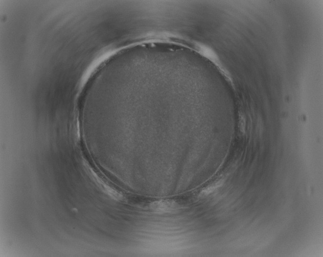 X0000074231368200609011231