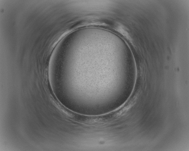 X0000074231369200609011231