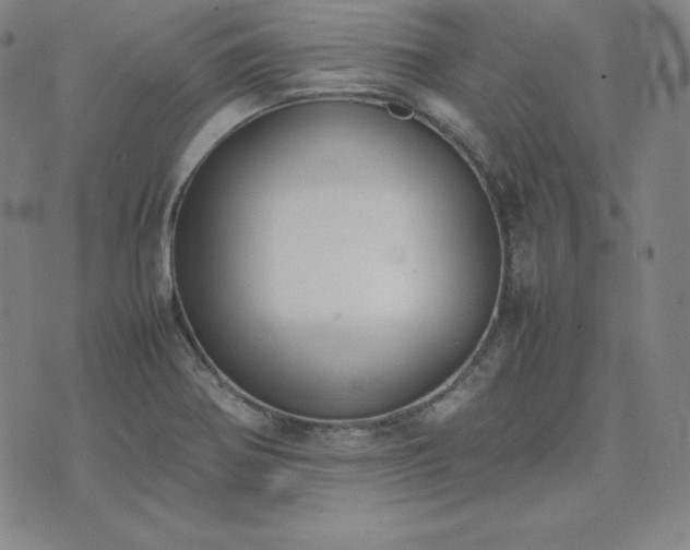 X0000074231370200609011231