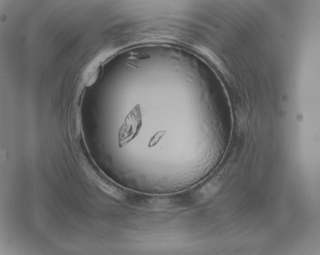 X0000074231371200609011231