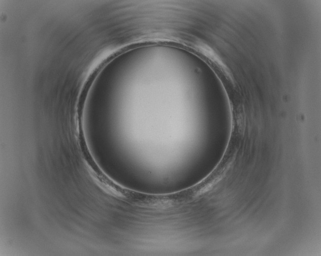 X0000074231372200609011231