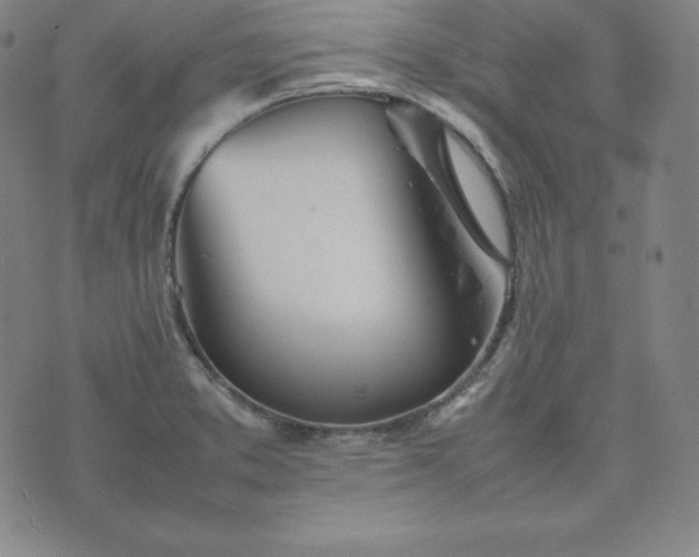 X0000074231373200609011231